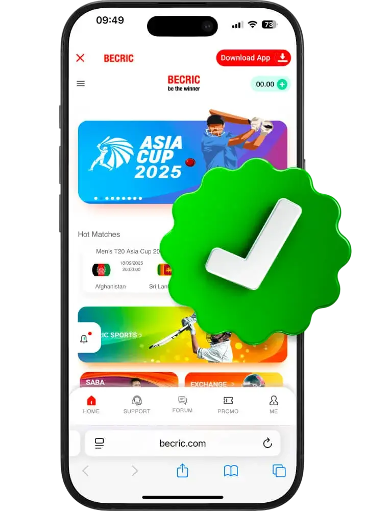 Account Verification: Brief Overview Account Verification: Brief Overview