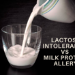 Lactose in tolerance vs Milk protein allery