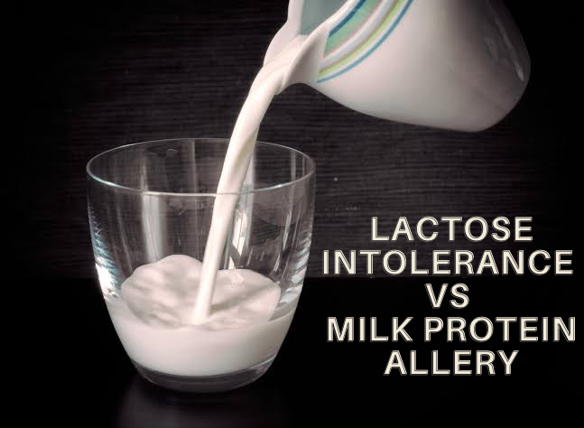 Lactose in tolerance vs Milk protein allery